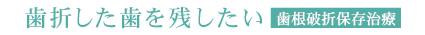 歯折した歯を残したい歯根破折保存治療